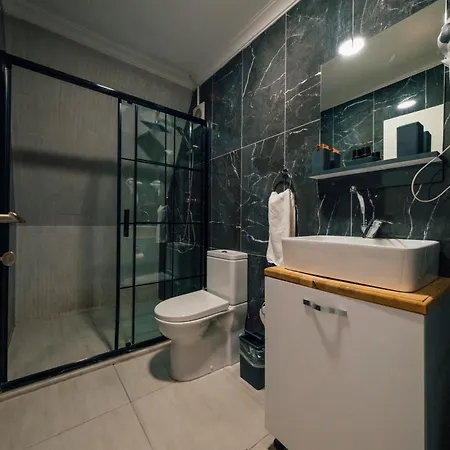 Kurtkoey Park Evleri Capsule hotel Sakarya (Marmara)